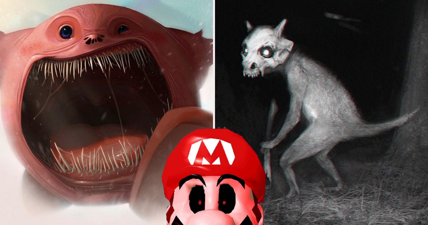 Creepy Theories About Your Favorite Nintendo Games Thegamer