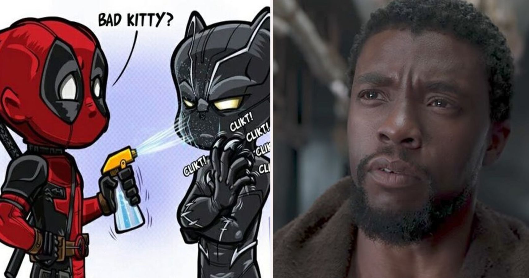 Hilarious Black Panther Memes That Only True Fans Will Understand