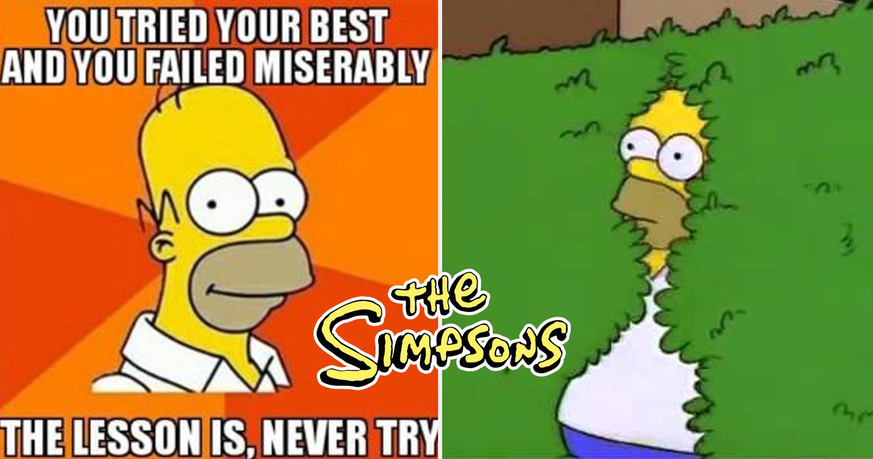 20 Simpsons Memes That Are Too Hilarious For Words Thegamer 