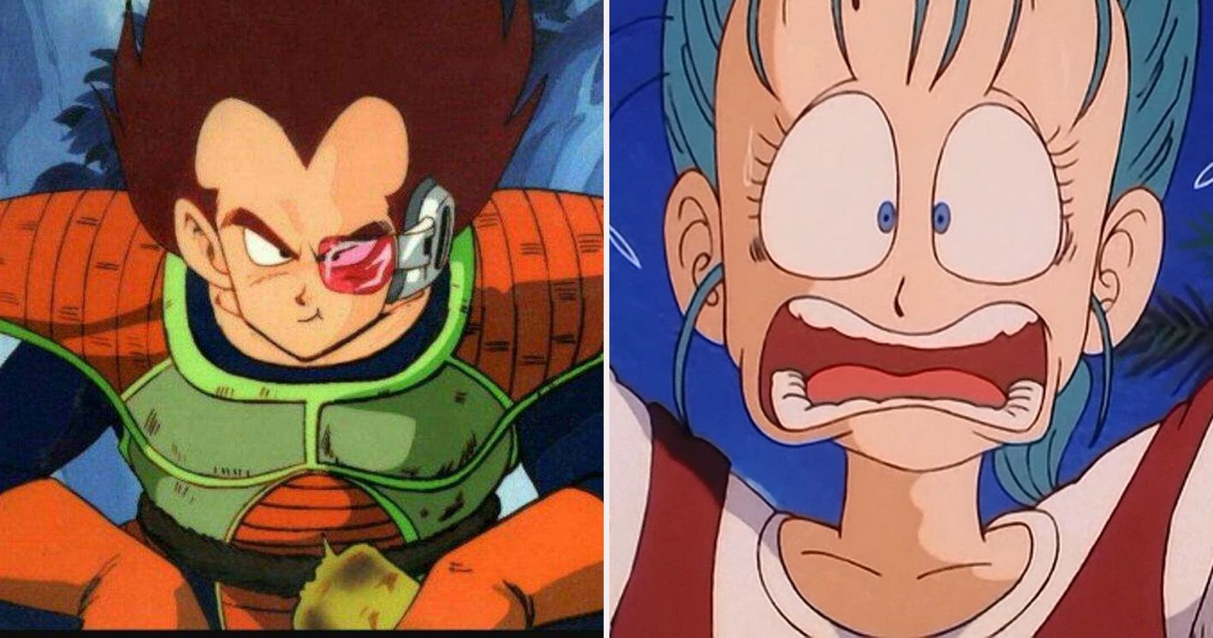 25 Ridiculous Mistakes In Dragon Ball Z Only True Fans Noticed