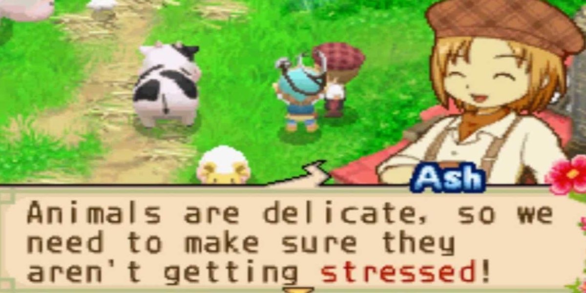 best harvest moon game for ds