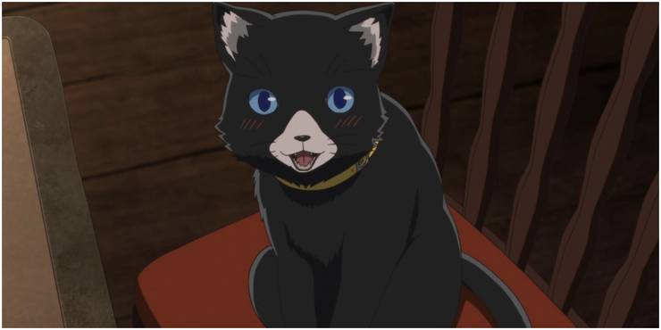 Morgana on chair