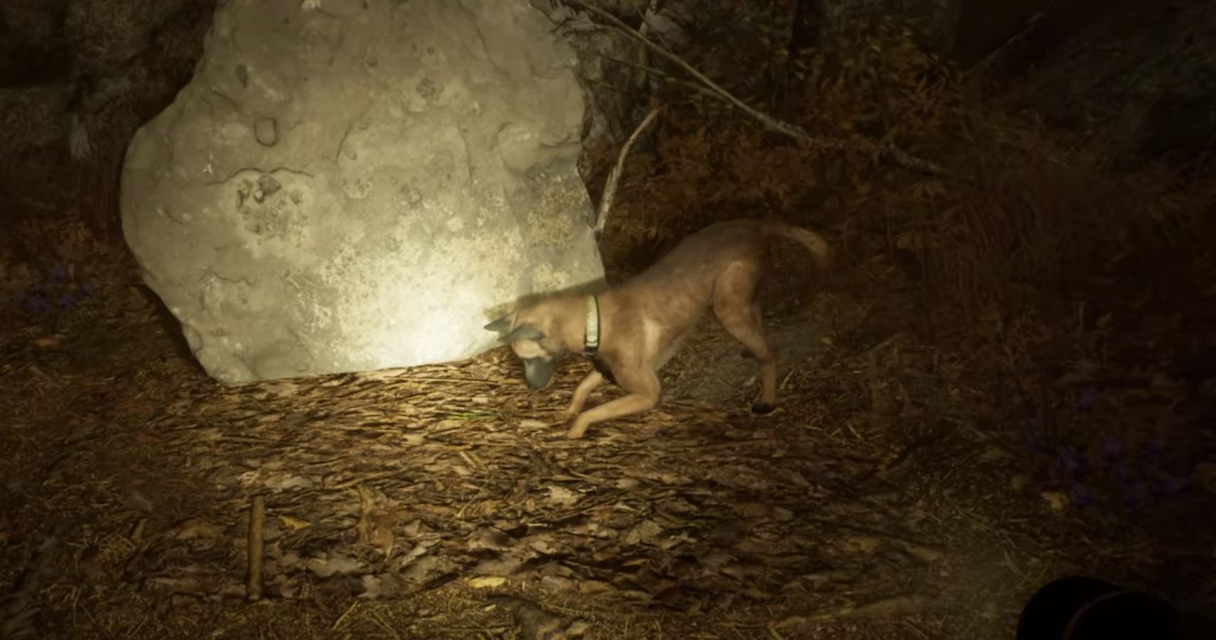 Blair Witch Gameplay Trailer Yes, You Can Pet The Dog TheGamer