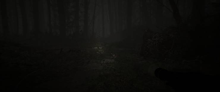 Here S How To Play Blair Witch In 21 9 Thegamer