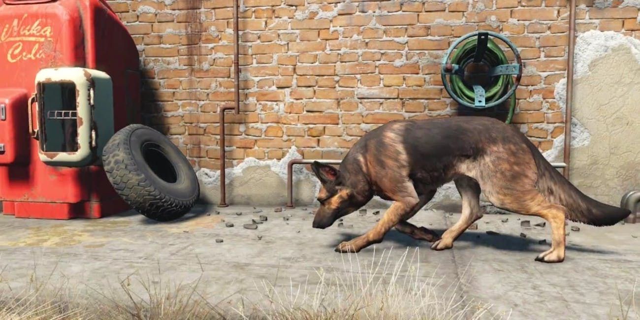 The 10 Greatest Fallout Companions Of All Time Ranked TheGamer