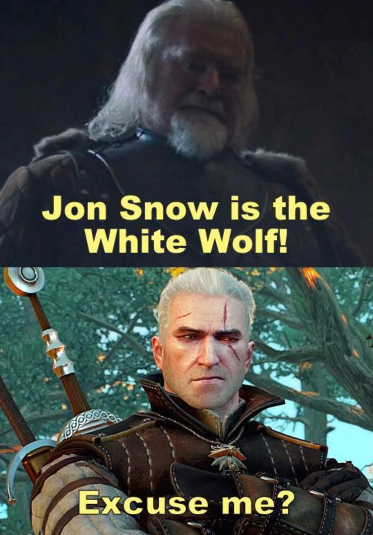 The Witcher 3 10 Hilarious Memes Only True Fans Understand