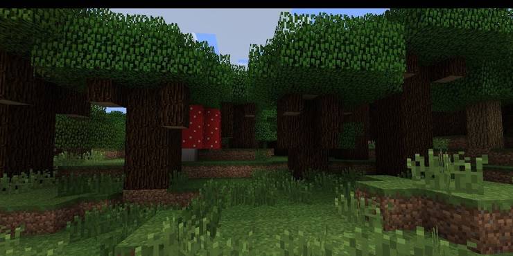 Minecraft Every Biome Ranked Thegamer Minecraft Every Biome Ranked Thegamer