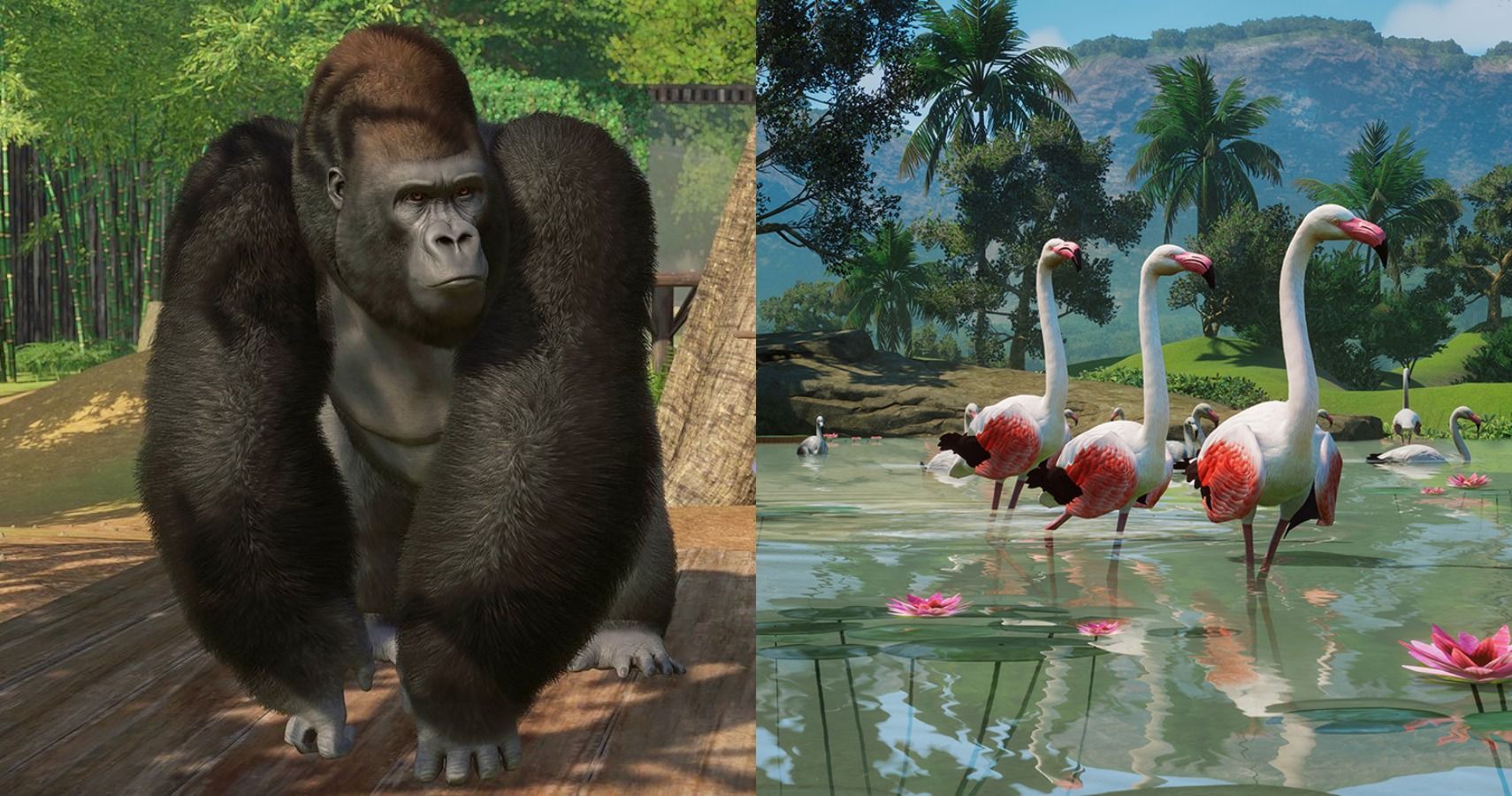 Planet Zoo: 5 Most Popular Animal Attractions (& 5 Least Popular)