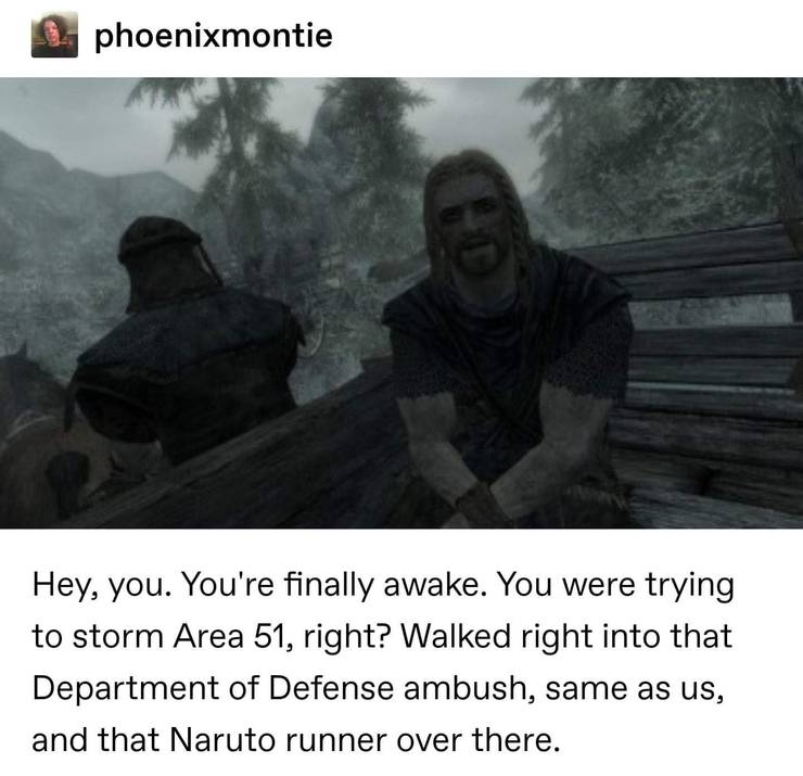 Skyrim 10 Most Hilarious You Re Finally Awake Memes Thegamer