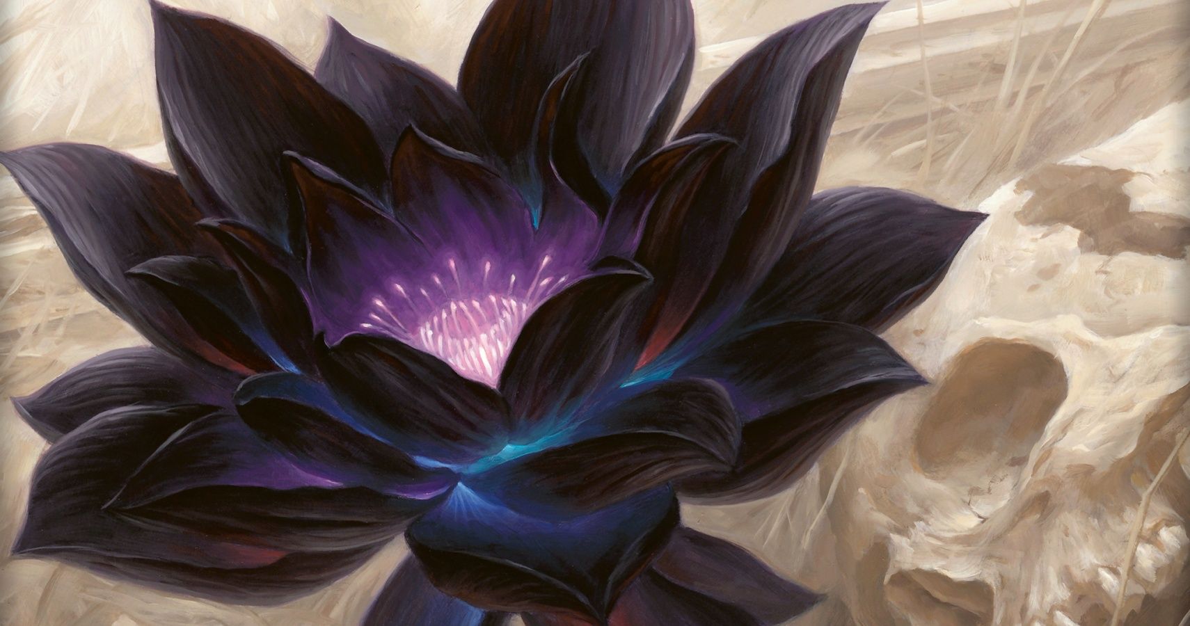 Black lotus wow classic