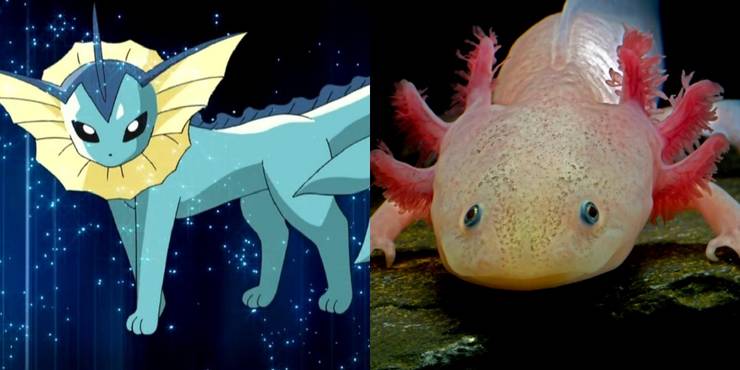 10 Pokemon That Exist In Real Life Thegamer 10 Pokemon That Exist In Real Life Thegamer