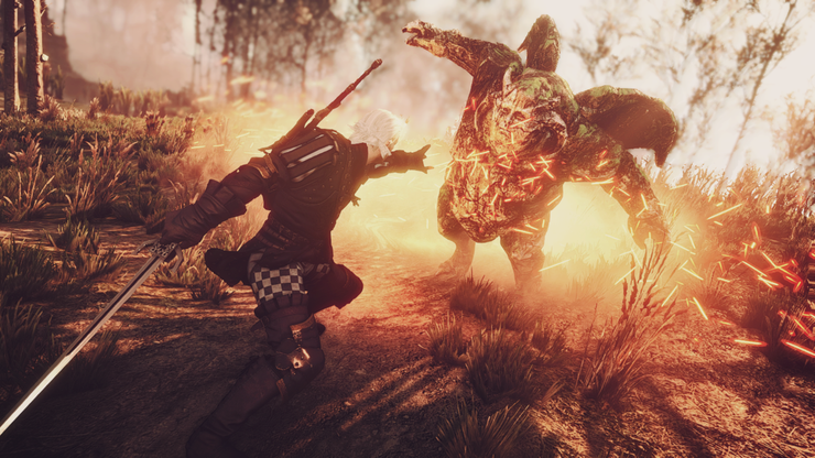 The Witcher 3 10 Unanswered Questions We Still Have About Witchers