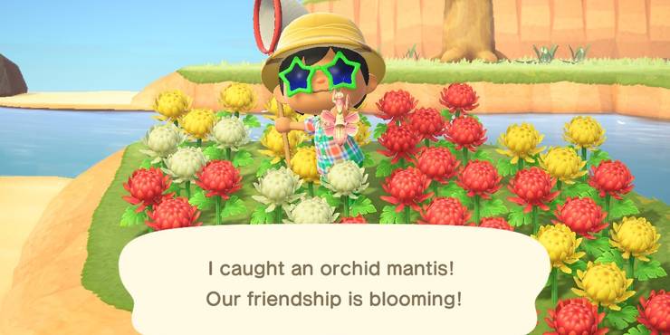 Wasp Animal Crossing Wiki Nookipedia