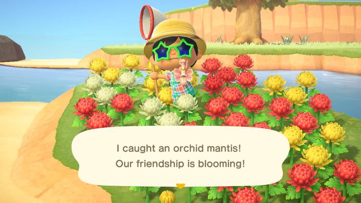 Animal Crossing New Horizons Bug Guide Bug List Best Times And Seasons To Catch Them