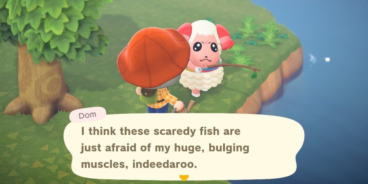 animal crossing dom birthday
