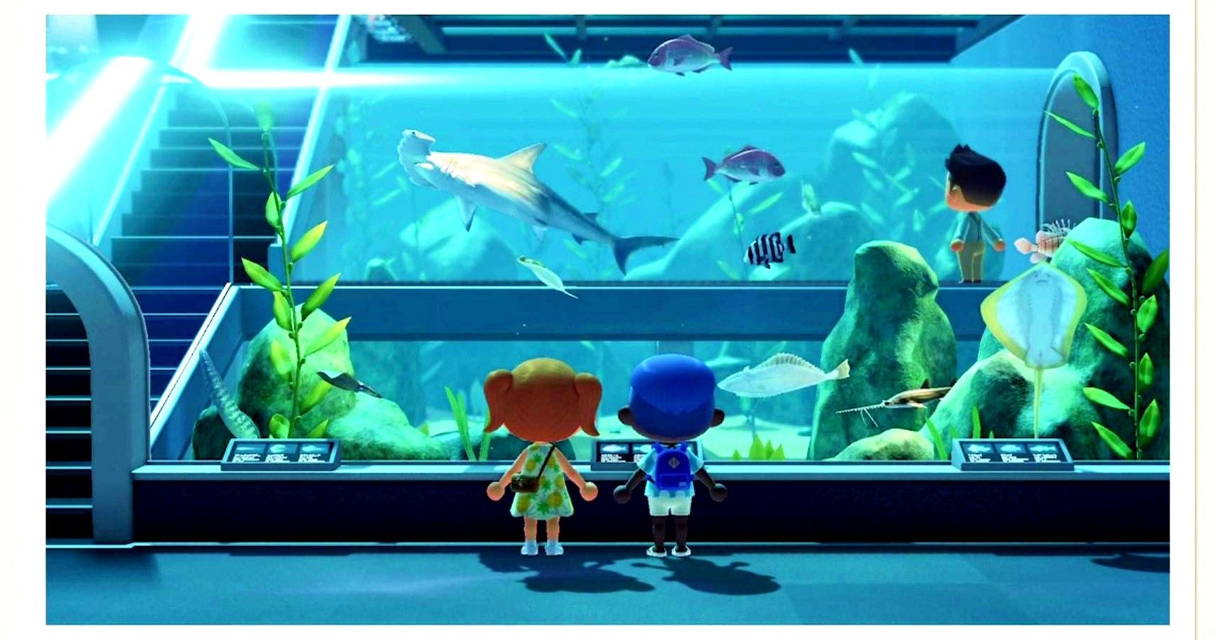 Animal Crossing New Horizons Golden Trout Where When And How To Catch The Rare Golden Trout Nintendo Life