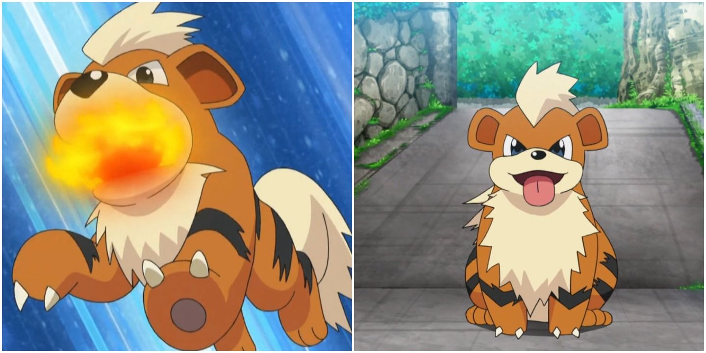 Growlithe evolution level shield