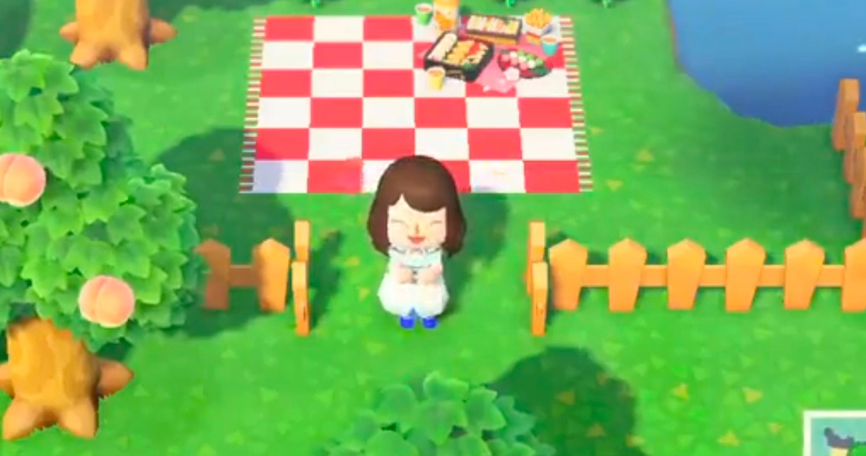 Animal Crossing: New Horizons Player Shows Off Incredible Color-Coded