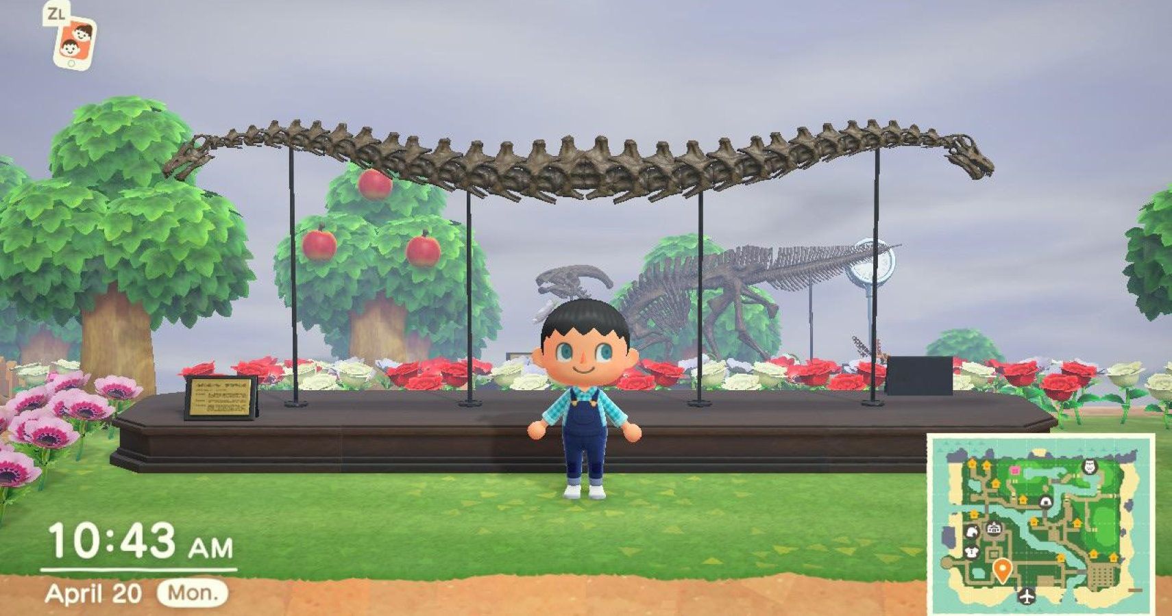 Animal Crossing New Horizons Combine Different Fossils To Create