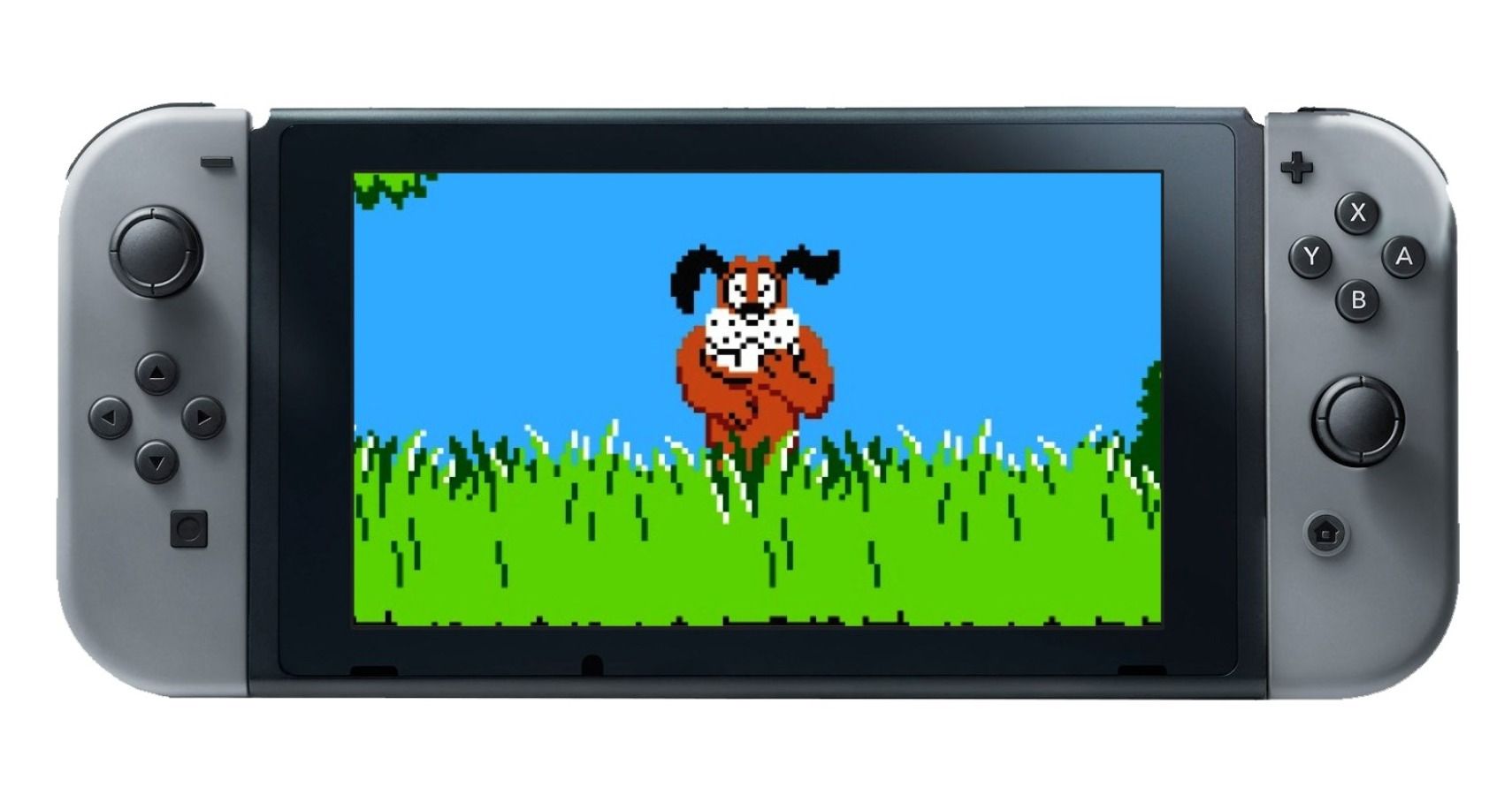 duck hunt for switch