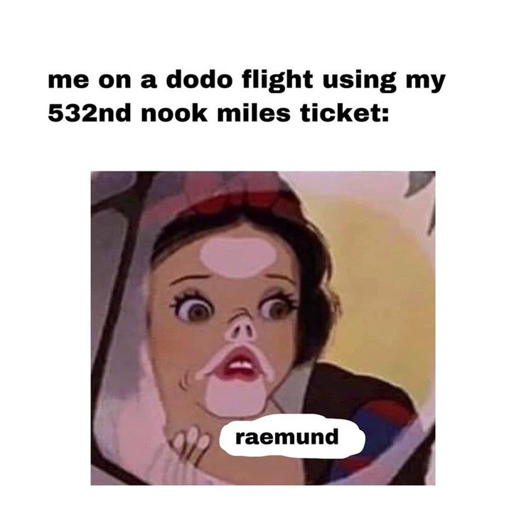 Animal Crossing 10 Hilarious Memes About Raymond Thegamer