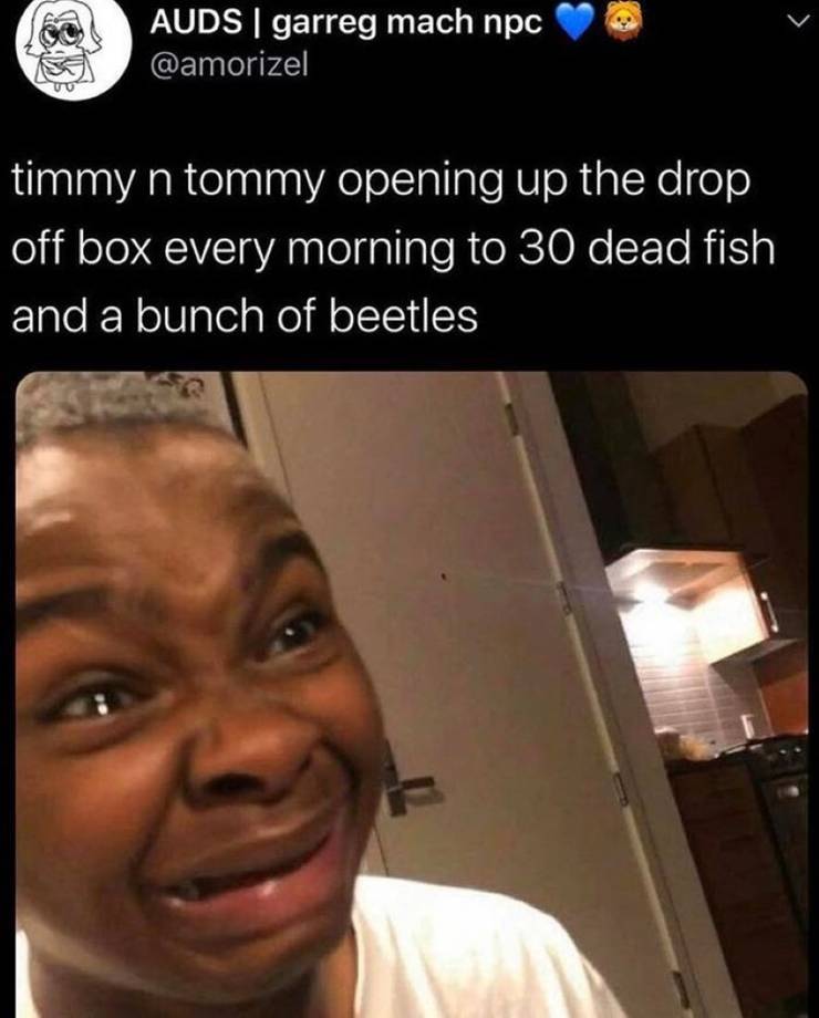 Animal Crossing 10 Timmy Tommy Memes That Prove The Game Makes