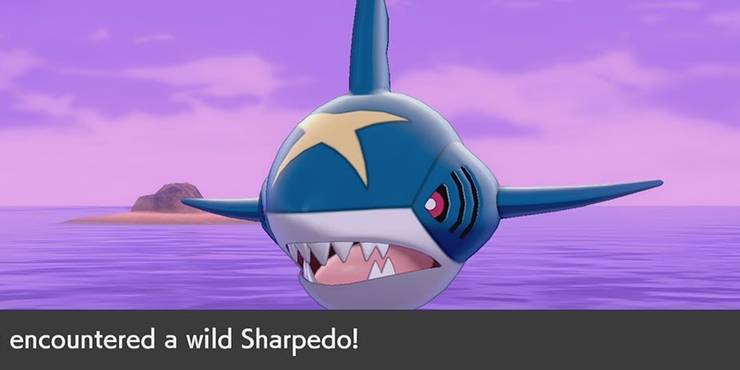 Pokemon Sword Shield The Isle Of Armor Every Hoenn Pokemon