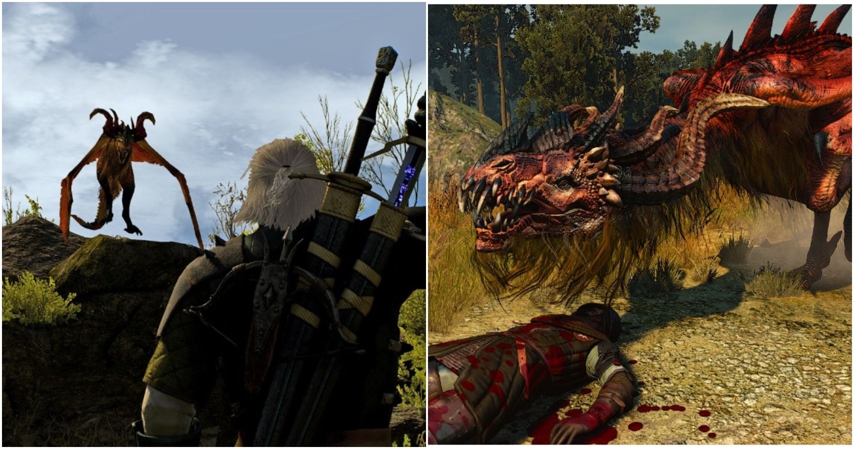The Witcher 3 10 Things You Didn T Know About Wyverns Thegamer