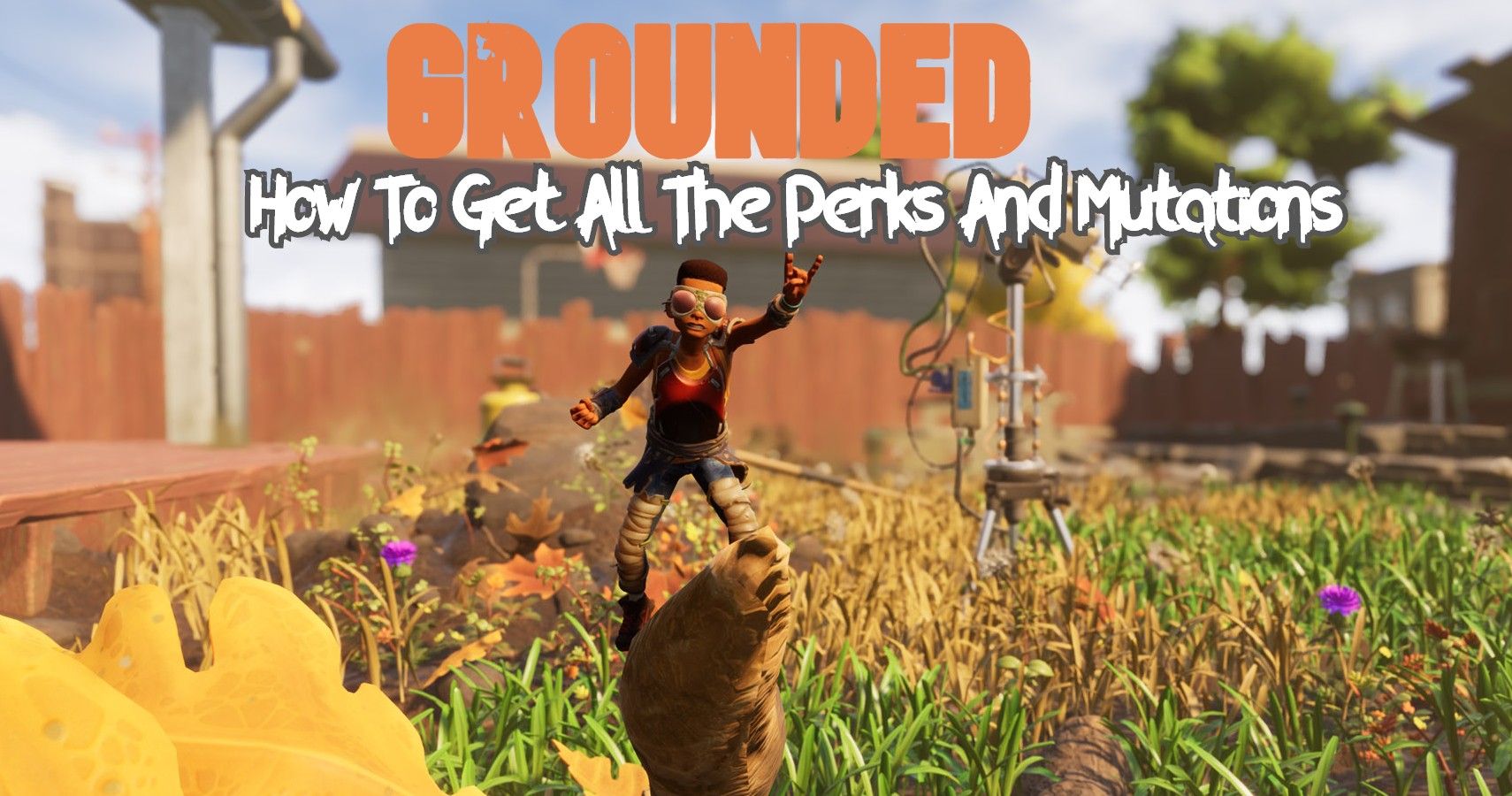 download grounded price