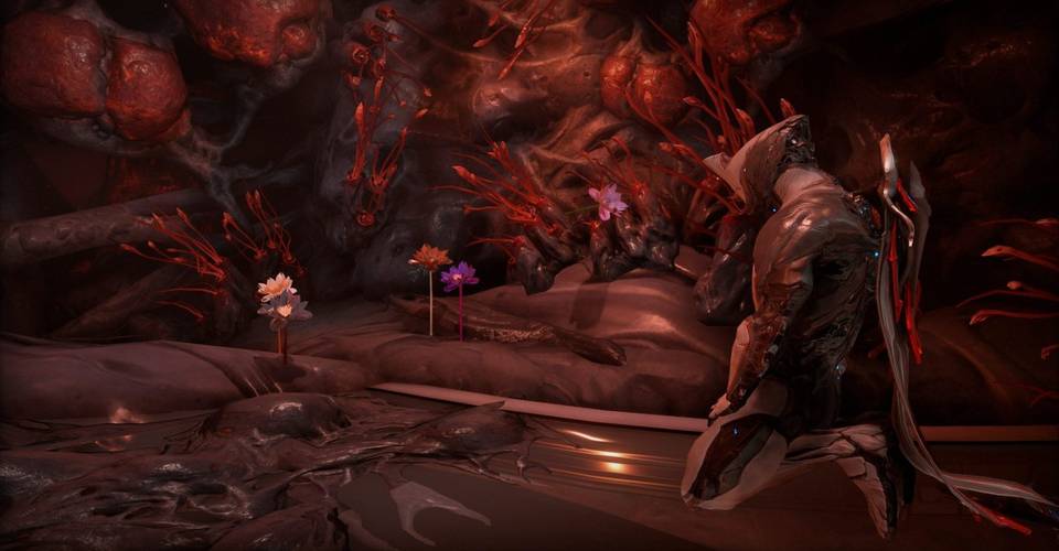 Warframe 10 Warframe Abilities To Subsume In The Revamped Helminth Room