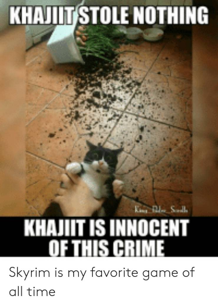 Elder Scrolls 10 Hilarious Khajiit Memes Thegamer