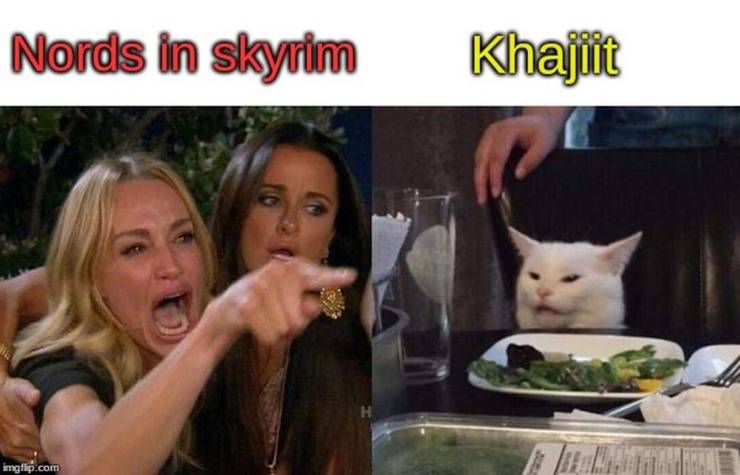 Elder Scrolls 10 Hilarious Khajiit Memes Thegamer