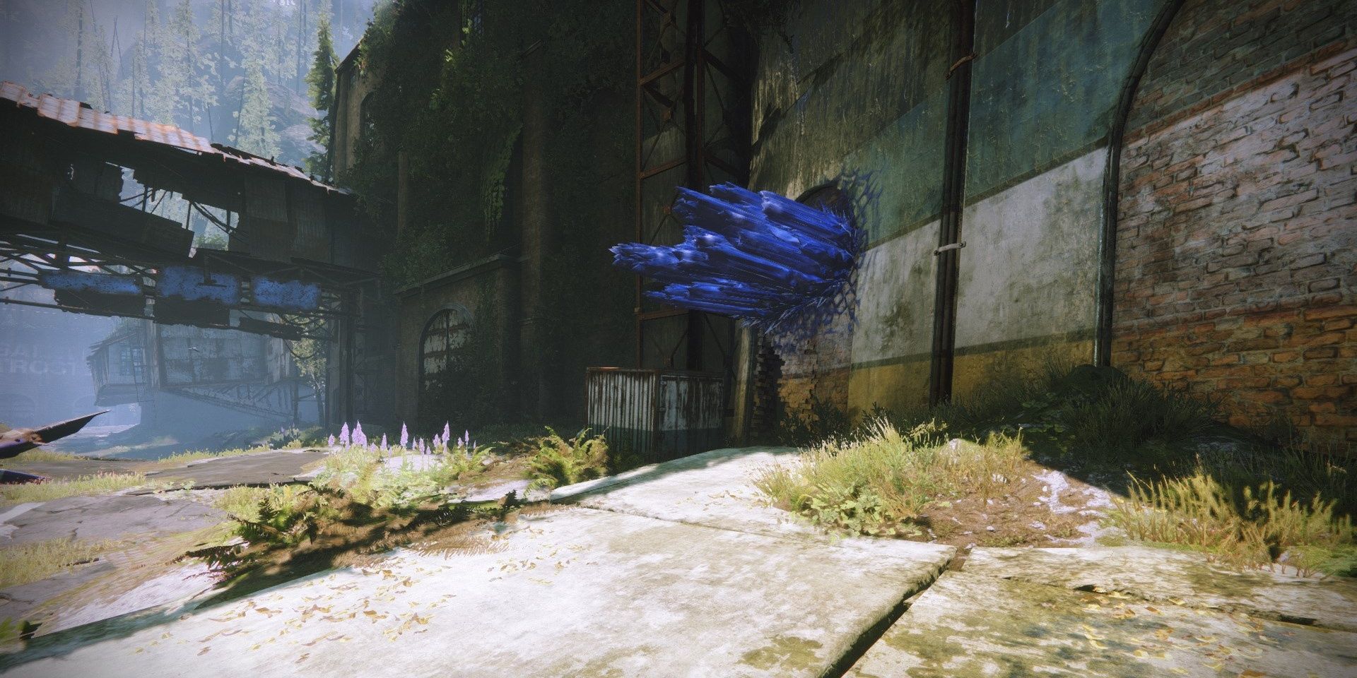 Destiny 2 Every EDZ Region Chest Location