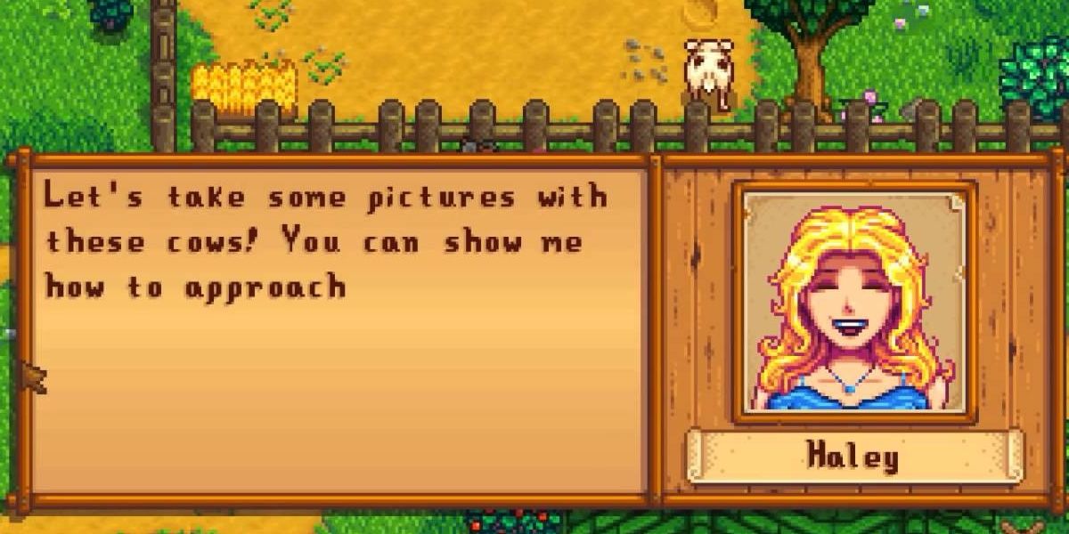 Stardew Valley A Complete Guide To Marrying Haley Game 