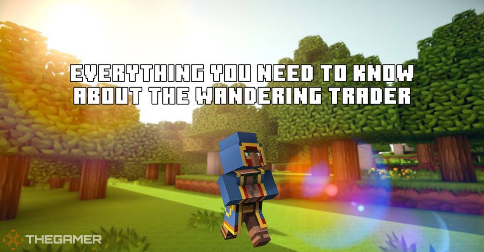 Wandering trader skin Wandering trader skin
