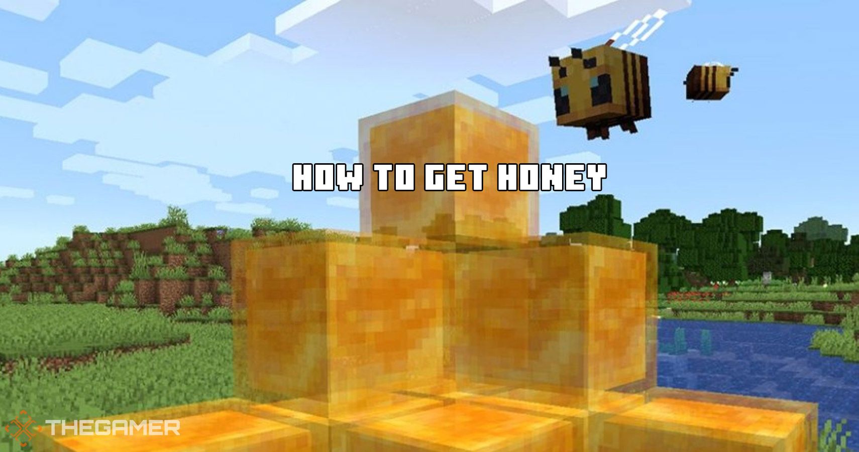 Minecraft How To Get Honey And What It Does Thegamer 