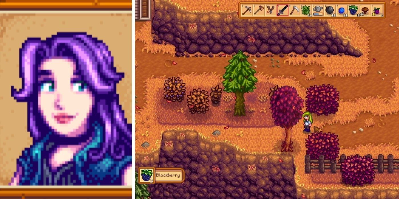 Stardew Valley 10 Weird Details You Never Knew About Abigail 5085