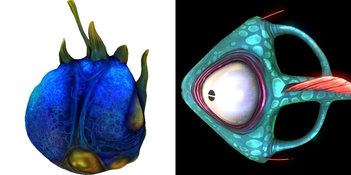 subnautica eggs with alduts