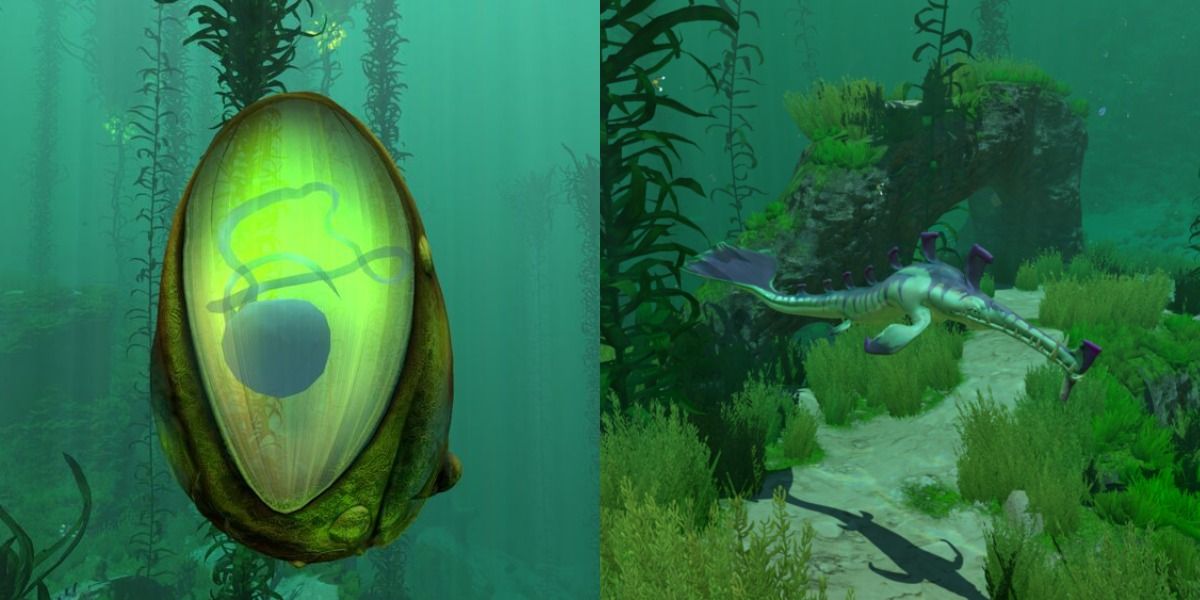 subnautica eggs