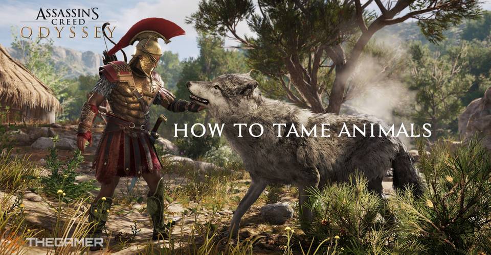 Assassin S Creed Odyssey How To Tame Animals Thegamer Assassin S Creed Odyssey How To Tame Animals Thegamer