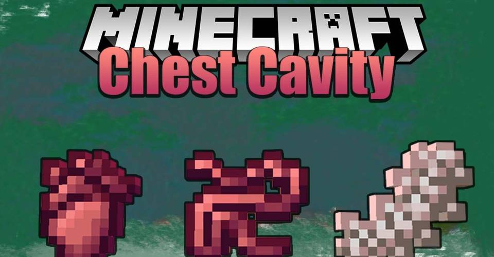 Minecraft Everything You Need To Know About The Surgery Mod