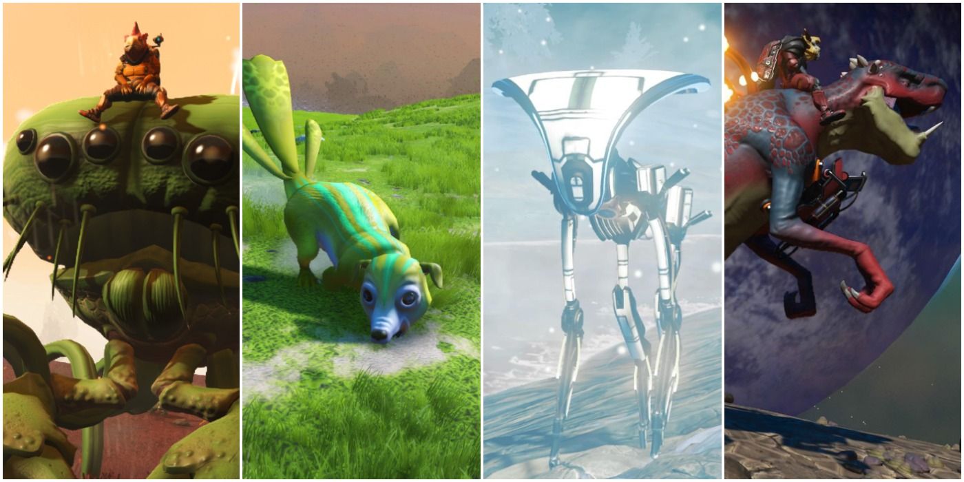 No Man's Sky: 10 Of The Best Pets, Ranked | TheGamer