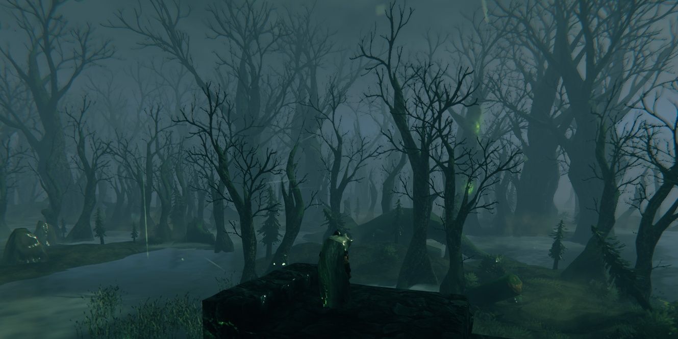 valheim swamp