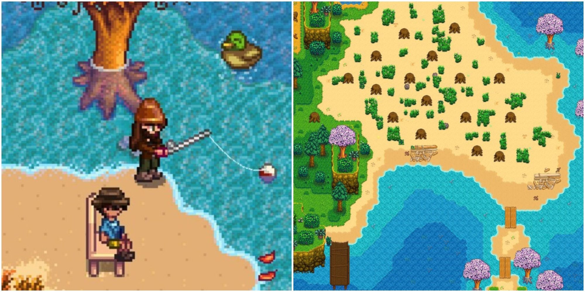 Stardew Valley Beach Map