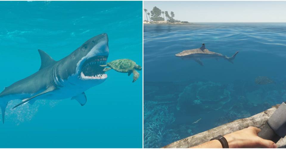 Stranded Deep Every Shark And Where To Find Them Thegamer