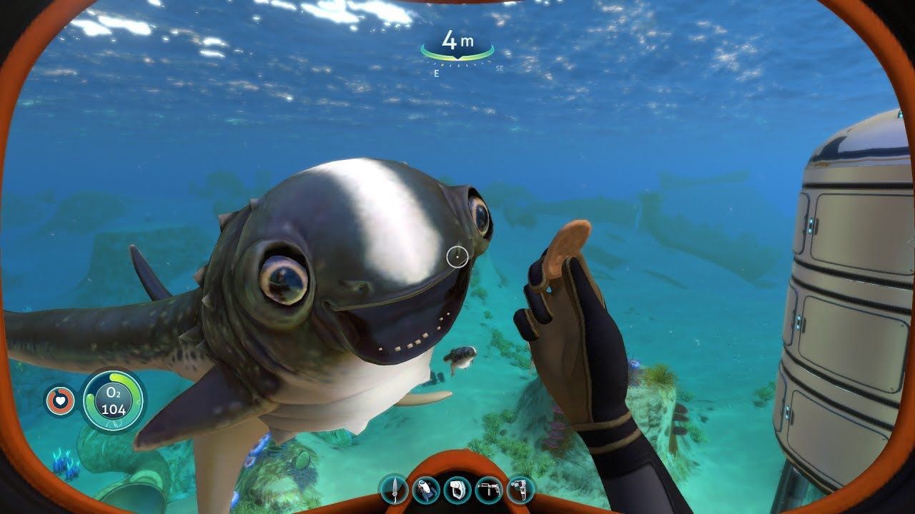 easiest place to find a cuddlefish subnautica eggs